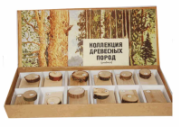 коллекция древесинных пород